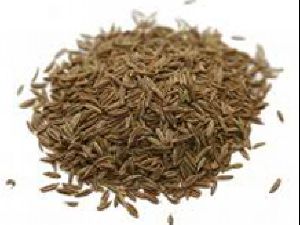 Cumin Seed