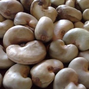 Raw Cashew Nuts