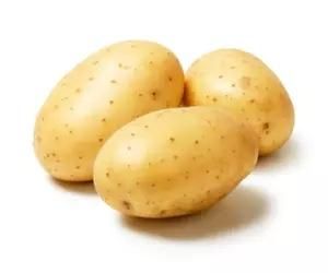 Potato