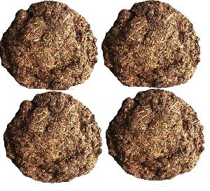 Cow Dung Cake