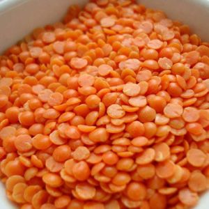 Red Lentil