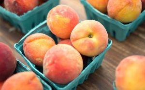 Fresh Peaches