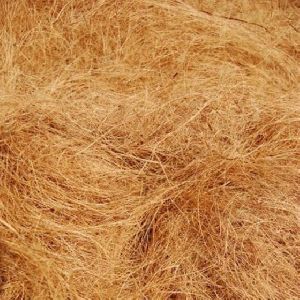 Coconut Coir Fibre