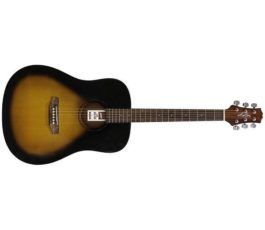 Ashton D20 TSB Acoustic Guitar