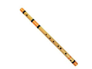 Bamboo Flute C# Scale