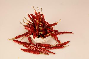 S-4 Sannam Dried Red Chilli
