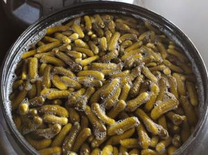 PICKLED GHEKRINS IN ACETIC ACID