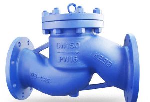 Lift Check Valve