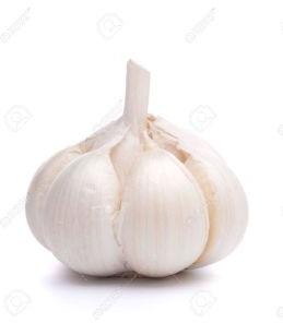 Garlic Bulb