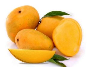 Fresh Mango