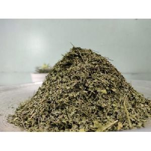 Dried Stevia Leaves