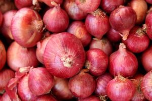 Fresh Red Onion