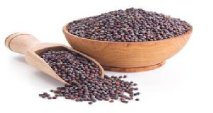 Brown Mustard Seeds