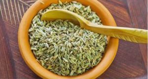 Fennel Seeds