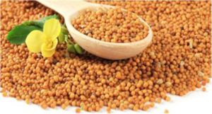 Yellow Mustard Seeds