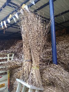 Coconut Broomstick