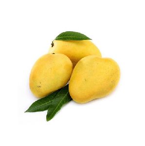 Fresh Mango