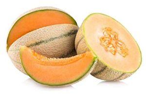 Fresh Muskmelon