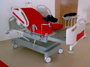 Luxury Electric Delivery Care Bed