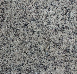 Royal Cream Granite