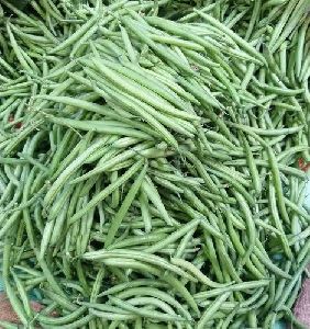 French Green Beans