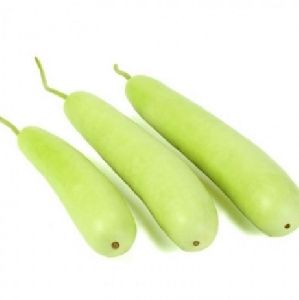 Fresh Bottle Gourd