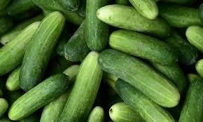 Fresh Cucumber