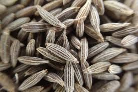 Cumin Seed Oil Co2