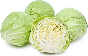 Fresh Organic Cabbage