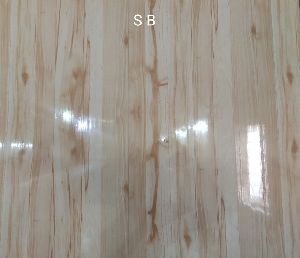 Mirror PVC Doors