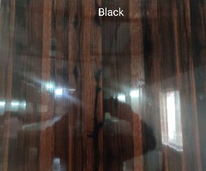 Mirror PVC Doors