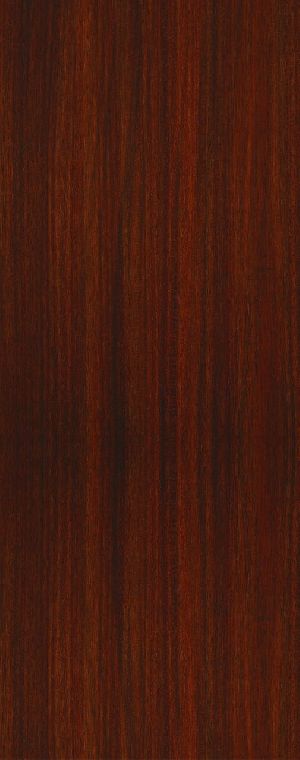 WPC Digital Laminated Doors