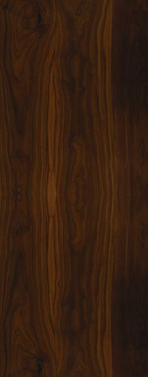 WPC Digital Laminated Doors