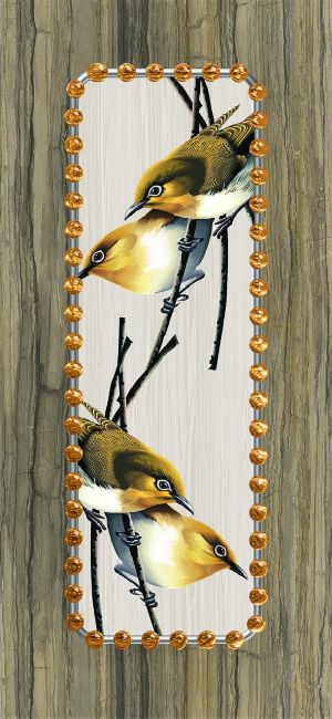 WPC Digital Laminated Doors