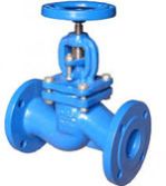 Globe Valves