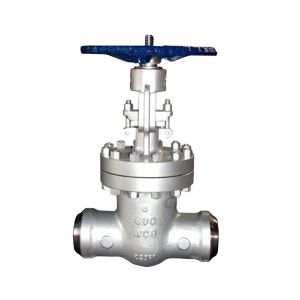 MNC Bolted Bonnet Gate Valve