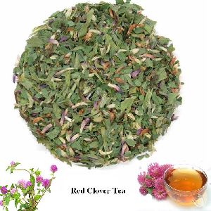 Red Clover Tea