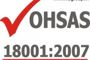 OHSAS 18001:2007 Certification