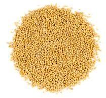 Yellow Mustard Seeds