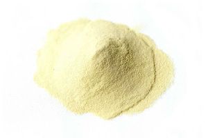 Yeast Extract Powder