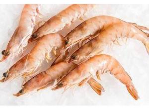 Frozen Prawns