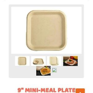 disposable dinner plates