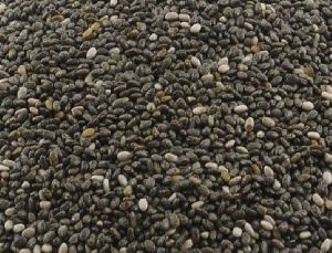 Organic Black Chia Seeds