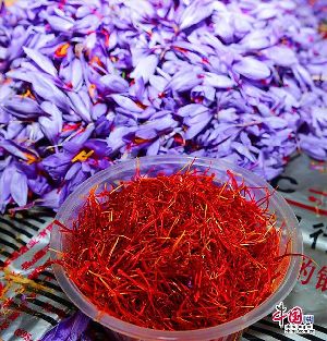 kashmiri Saffron