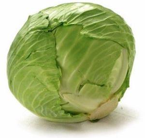 Fresh Cabbage