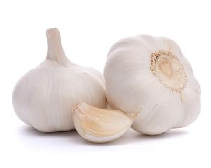 Fresh Garlic