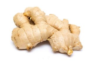 Fresh Ginger