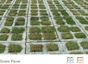 Grass Paver