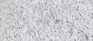 Classic White Granite Slab