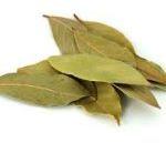 Bay Leaf